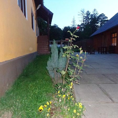 Pensiunea Radu Cisnădie Habitación foto