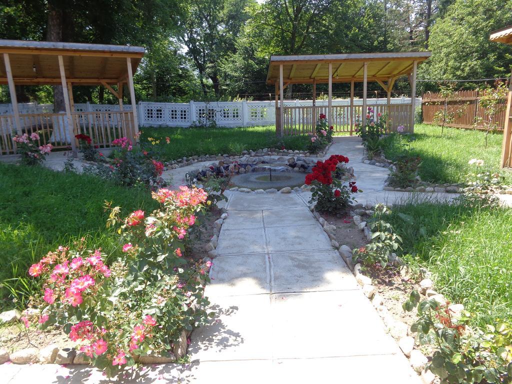 Pensiunea Radu Cisnădie Habitación foto