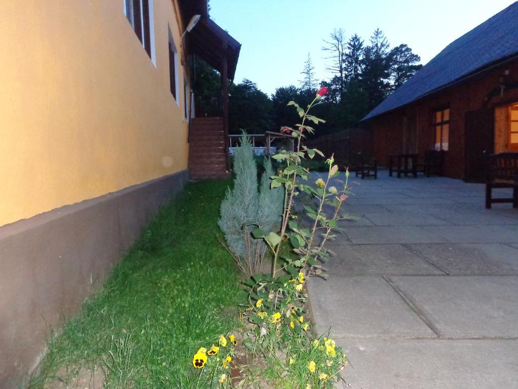 Pensiunea Radu Cisnădie Habitación foto